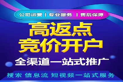 知名SEM服务公司成功案例分享